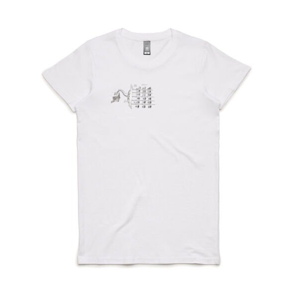 Smell Brain Women's Crew Neck Tee Thumbnail